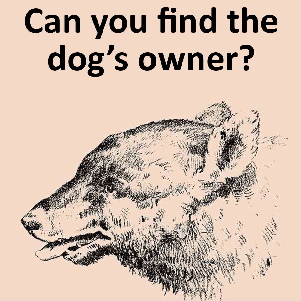 Can you find the dog's owner? - em.viata.me